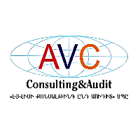 AVC consulting and audit LLC